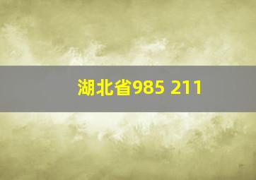 湖北省985 211